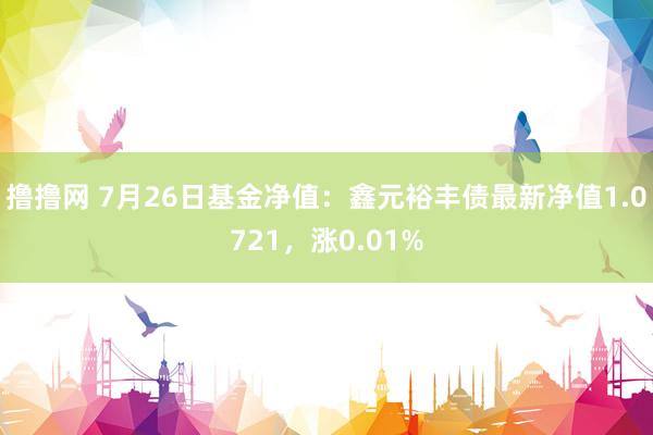 撸撸网 7月26日基金净值：鑫元裕丰债最新净值1.0721，涨0.01%