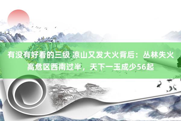 有没有好看的三级 凉山又发大火背后：丛林失火高危区西南过半，天下一玉成少56起