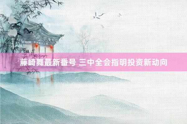藤崎舞最新番号 三中全会指明投资新动向