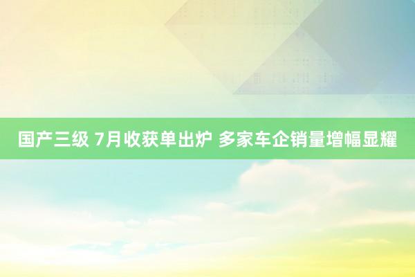 国产三级 7月收获单出炉 多家车企销量增幅显耀