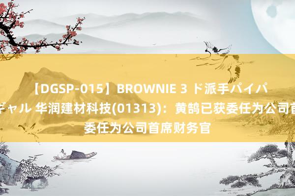 【DGSP-015】BROWNIE 3 ド派手パイパン強め黒ギャル 华润建材科技(01313)：黄鹄已获委任为公司首席财务官
