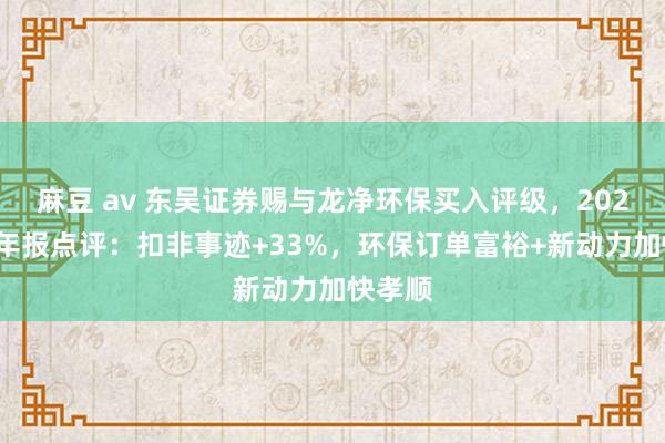 麻豆 av 东吴证券赐与龙净环保买入评级，2024年半年报点评：扣非事迹+33%，环保订单富裕+新动力加快孝顺