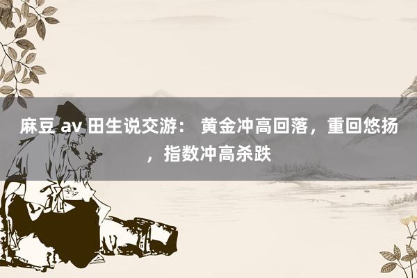 麻豆 av 田生说交游： 黄金冲高回落，重回悠扬，指数冲高杀跌