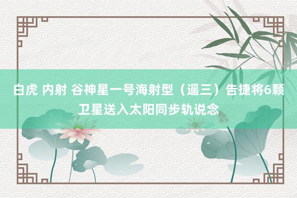 白虎 内射 谷神星一号海射型（遥三）告捷将6颗卫星送入太阳同步轨说念