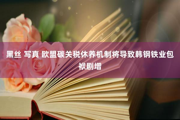 黑丝 写真 欧盟碳关税休养机制将导致韩钢铁业包袱剧增