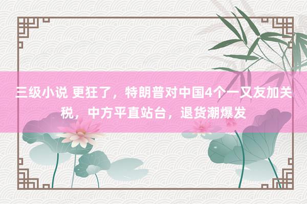 三级小说 更狂了，特朗普对中国4个一又友加关税，中方平直站台，退货潮爆发