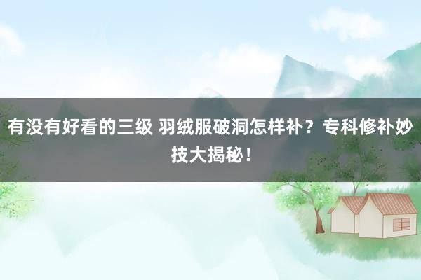 有没有好看的三级 羽绒服破洞怎样补？专科修补妙技大揭秘！