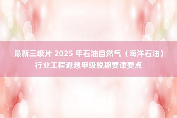 最新三级片 2025 年石油自然气（海洋石油）行业工程遐想甲级脱期要津要点