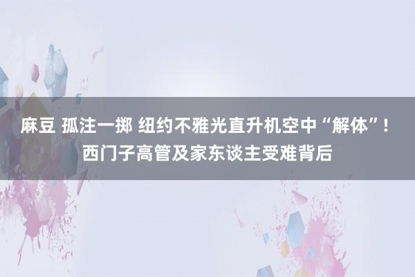麻豆 孤注一掷 纽约不雅光直升机空中“解体”! 西门子高管及家东谈主受难背后