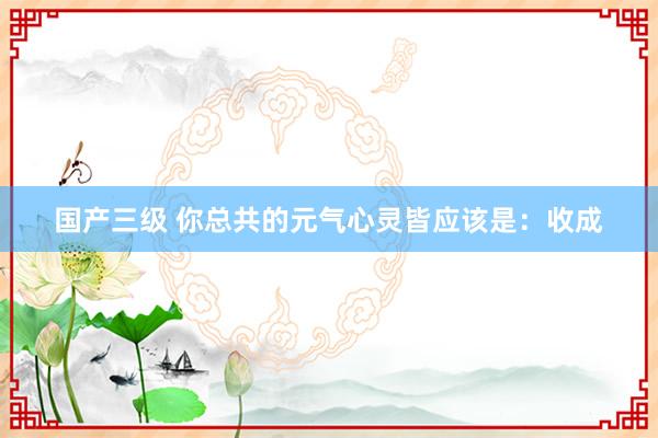 国产三级 你总共的元气心灵皆应该是：收成